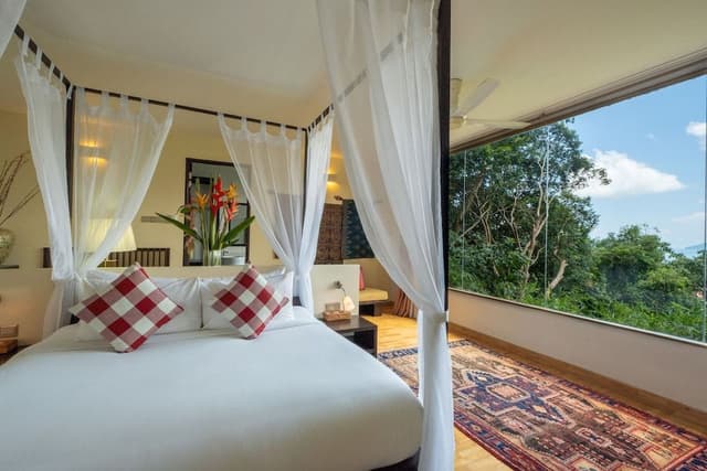 Canopy Suite