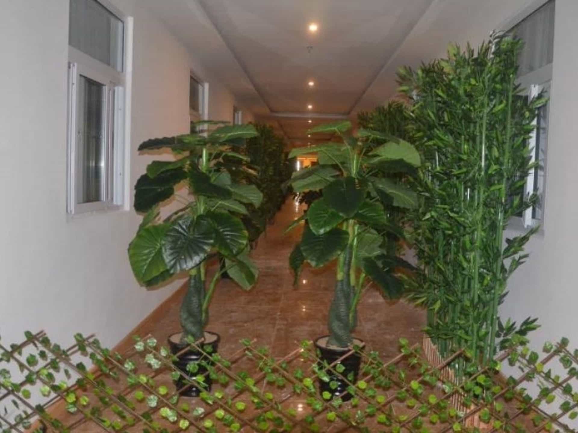 GreenTree Alliance Liaocheng Dongchangfu District Chenkou Road Liaocheng University Hotel GreenTree Alliance Liaocheng Dongchangfu District Chenkou Road Liaocheng University Hotel