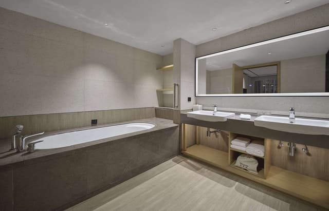KING DELUXE SUITE