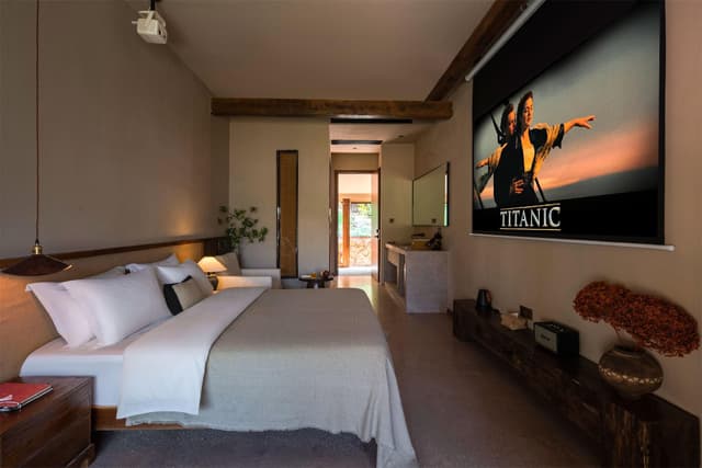 Mountain View Queen Room