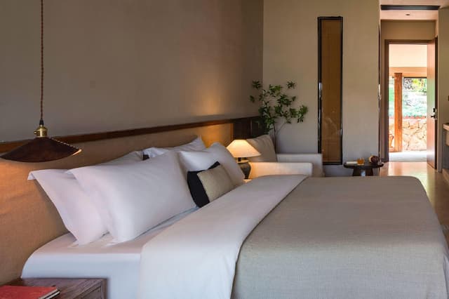 Mountain View Queen Room