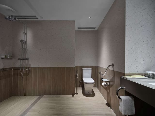 KING ACCESSIBLE ROOM