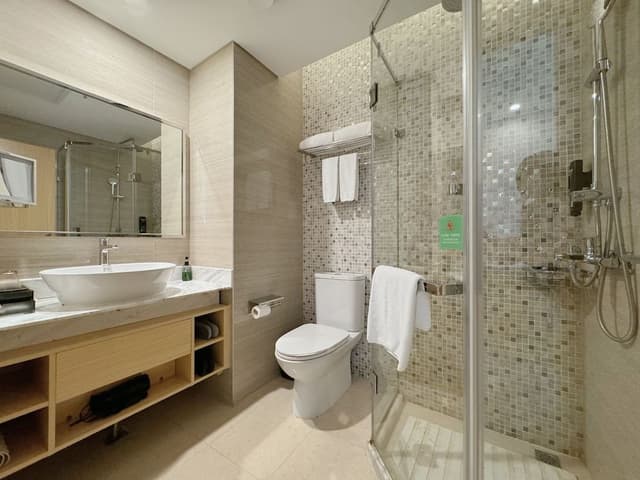 Standard Room, 1 King Bed, City View