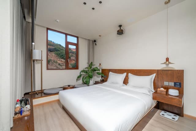 Mountain View Queen Room