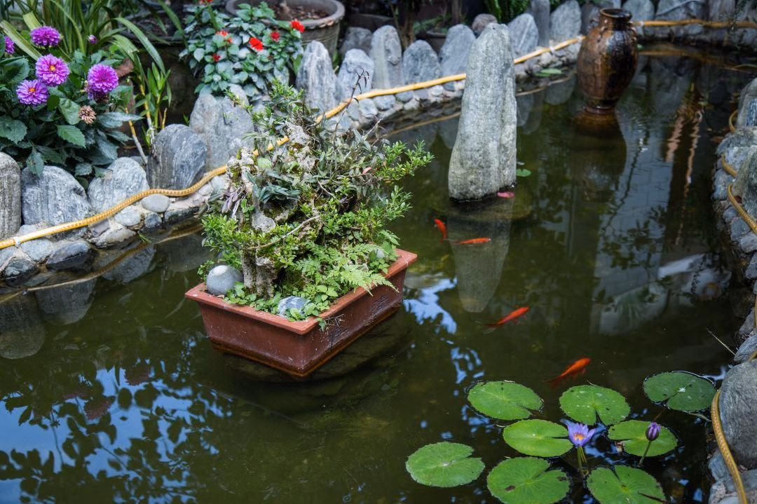 Floral Hotel Dali Ancient City Yixin Xiaoyuan2