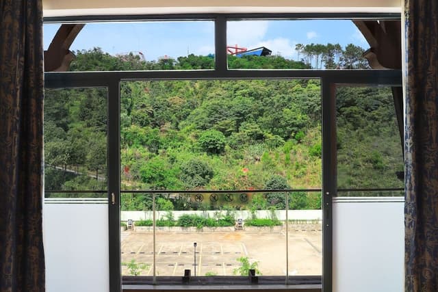 Room, 1 King Bed, Mountain View