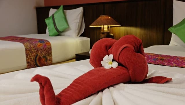 Superior Double or Twin Room