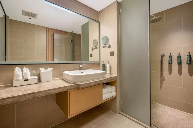 KING DELUXE ROOM