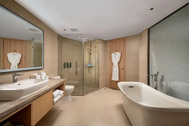 KING DELUXE SUITE