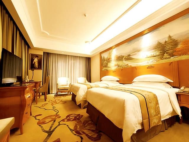 Vienna - Executive Room for 2 Guests