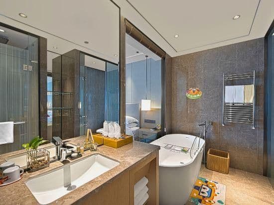 Deluxe Standard Room