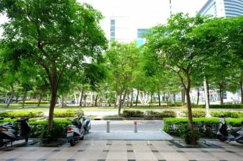 ซีที ธีม สวีท ซีที ธีม สวีท