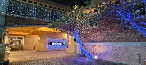 มูชา โมเต็ล (Mucha Motel)0