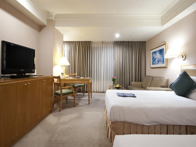 Deluxe Twin with Sea View