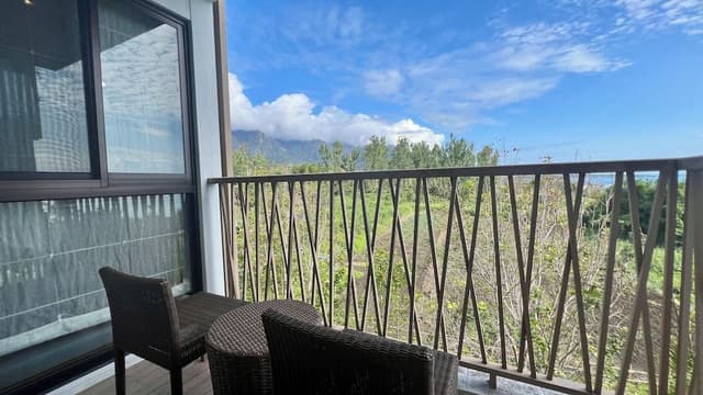 Deluxe Double Room, 1 King Bed, Mountain View