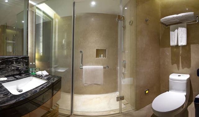 Standard Room, 1 King Bed (High Floor)