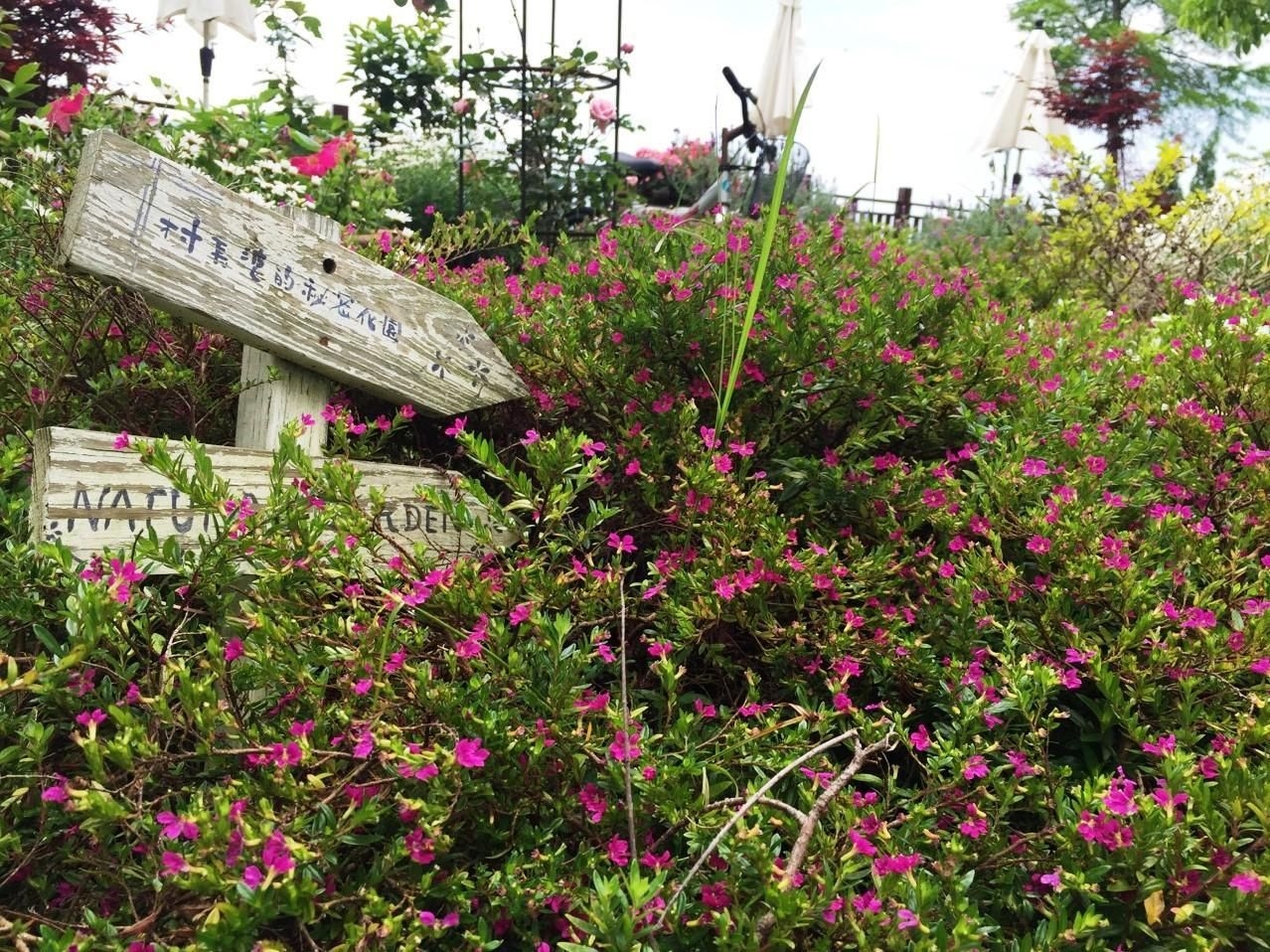 ชีพ วิลเลจ คันทรี่ โฮมสเตย์ (Sheep Village Country Homestay)2
