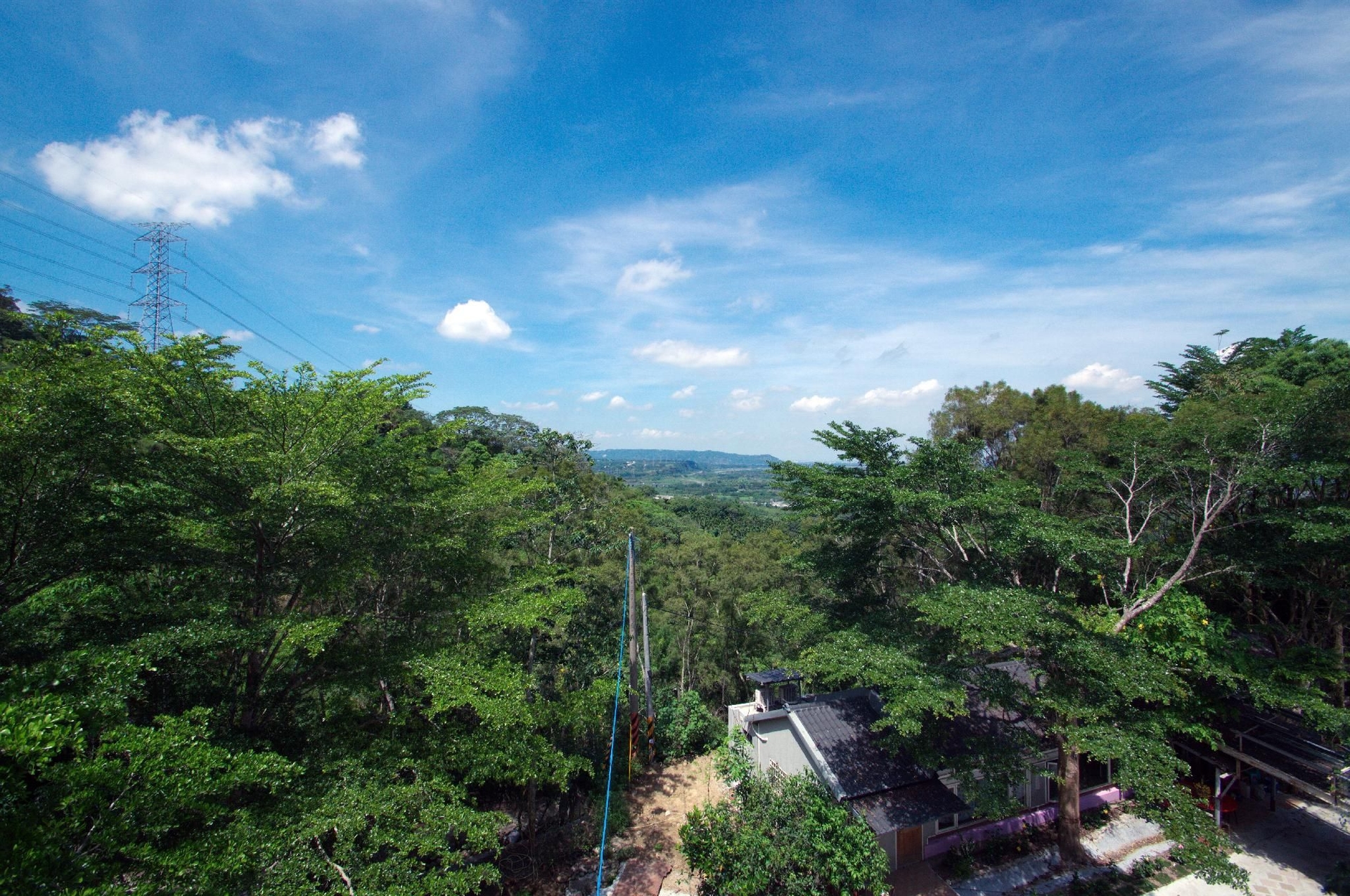 โอวล์ ฟอเรสต์ บีแอนด์บี (Owl forest B&B)4