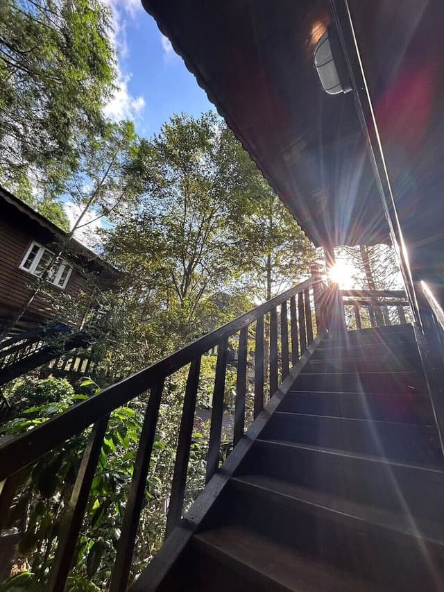 Signature Tree House, 2 Queen Beds, Non Smoking, Mountain View