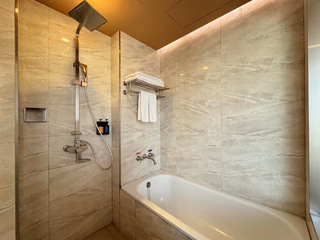 Superior Single Room