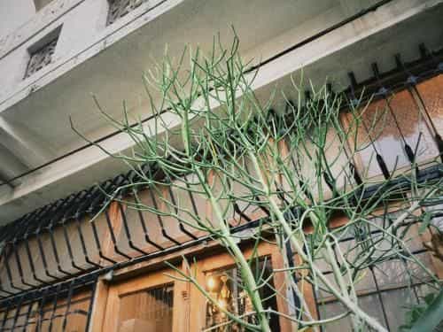 เสี่ยวเป่ยโฮม 2 บ้านทั้งหลังให้เช่า เสี่ยวเป่ยโฮม 2 บ้านทั้งหลังให้เช่า