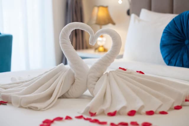 Hanvet Premium Room