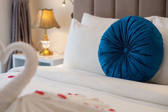 Hanvet Premium Room