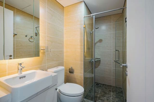 Standard Studio Suite