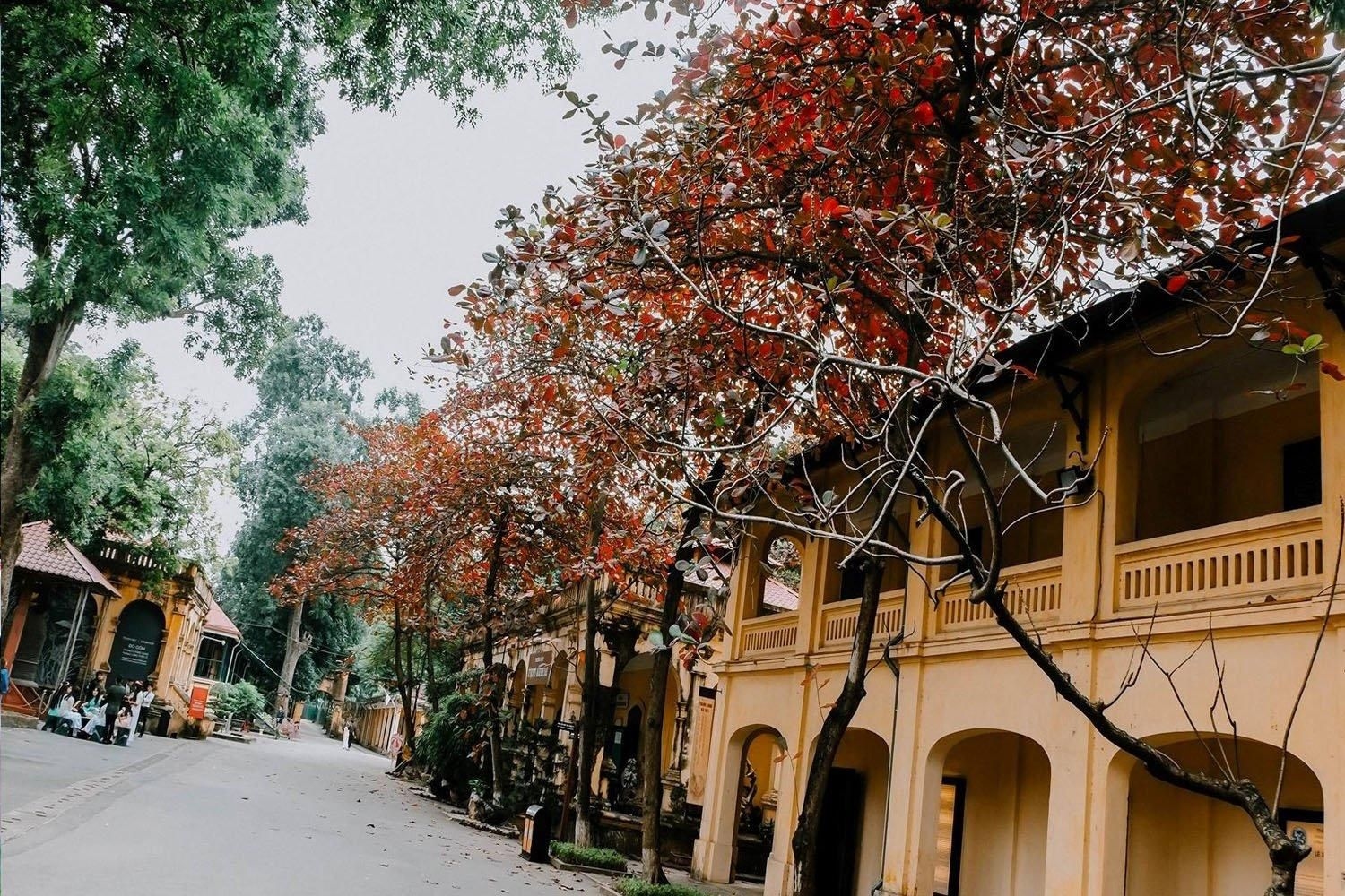 ชิค โคซี่โอล ทาวน์ ฮานอย เฮอริเทจ (Chic &Cozy Old Town Gem Heritage)1