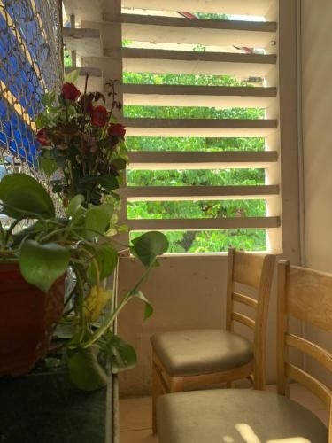 Huong’s Family Homestay0
