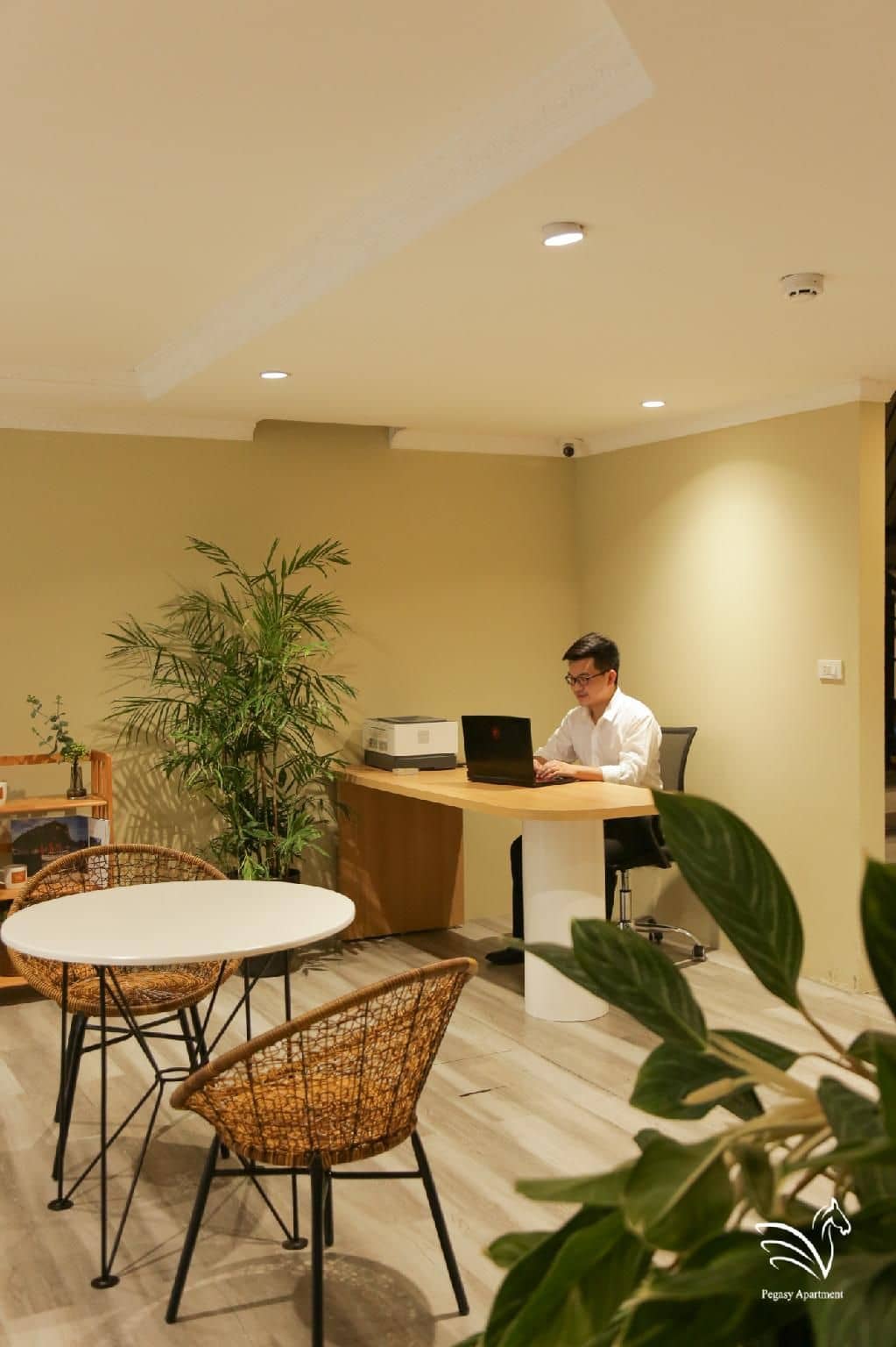Pegasy Apartments & Travel Pegasy Apartments & Travel
