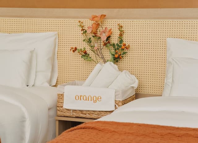 Standard Double or Twin Room