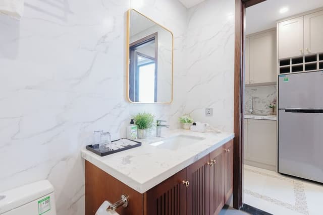 Luxury Apartment