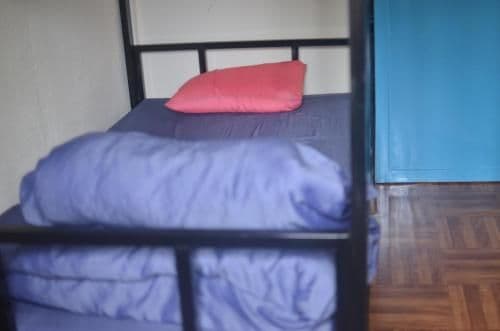 Bunk Bed in Mixed Dormitory Room