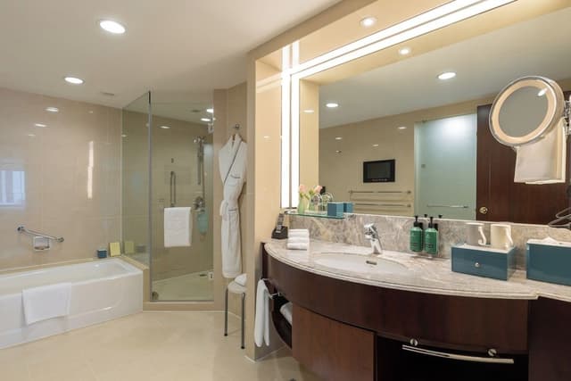 Executive Suite, 1 King Bed