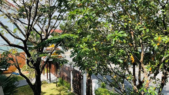 Deluxe Double or Twin Room, Balcony