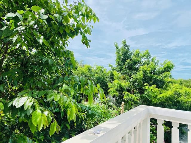 Family Double Room, Non Smoking, Garden View