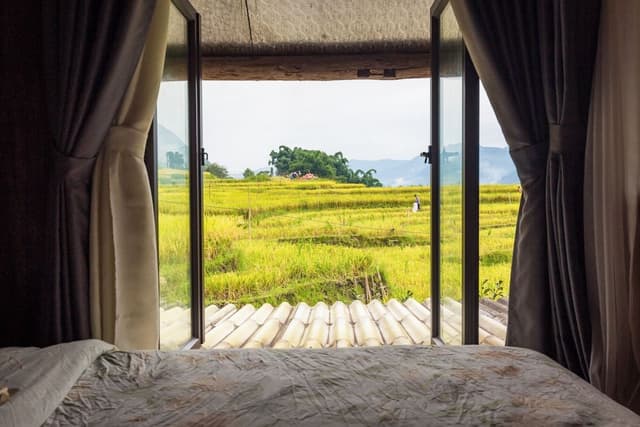 Single Room, Mountain View