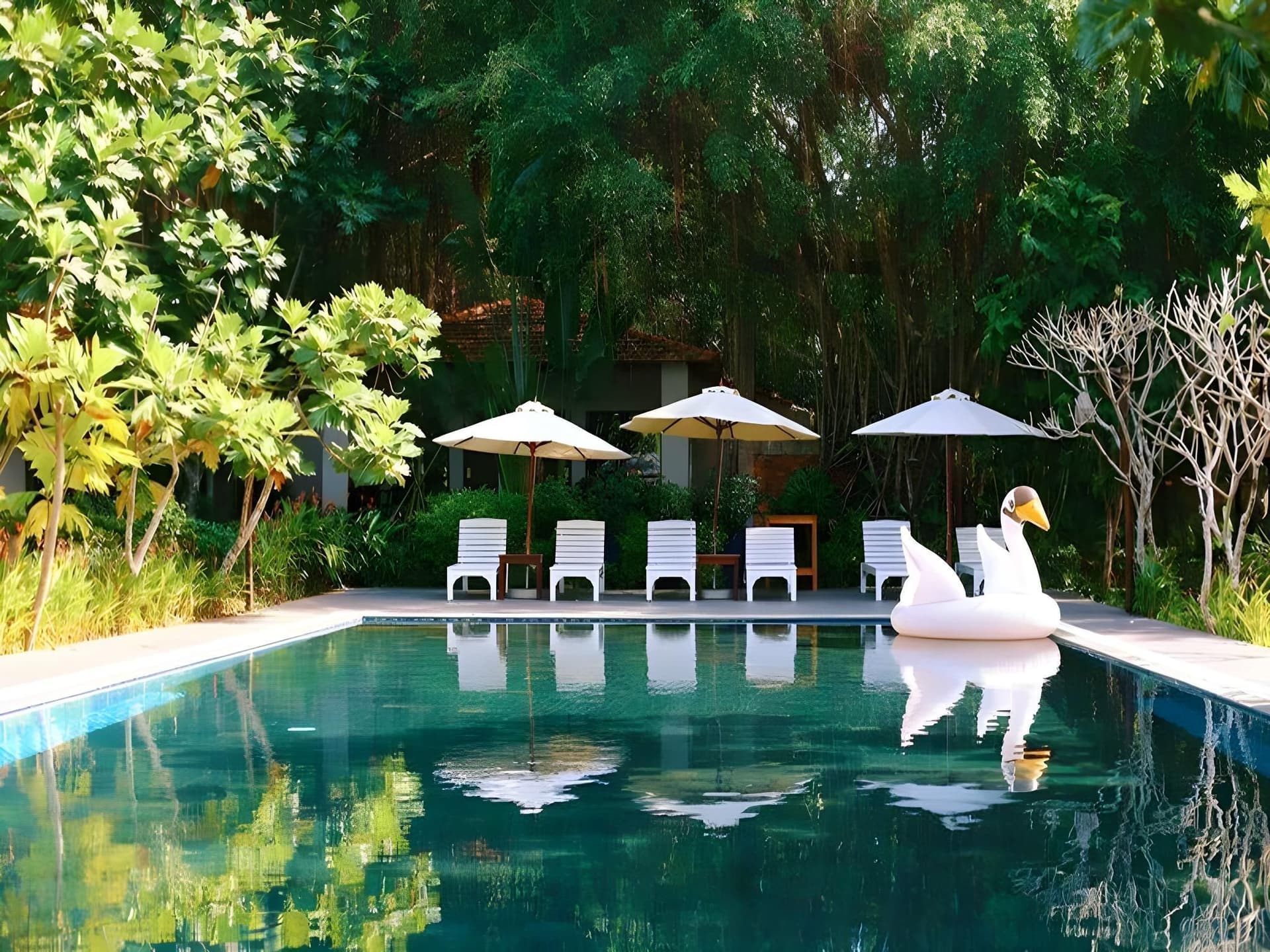 An Nhien Retreat Phu Quoc with Daily Yoga An Nhien Retreat Phu Quoc with Daily Yoga