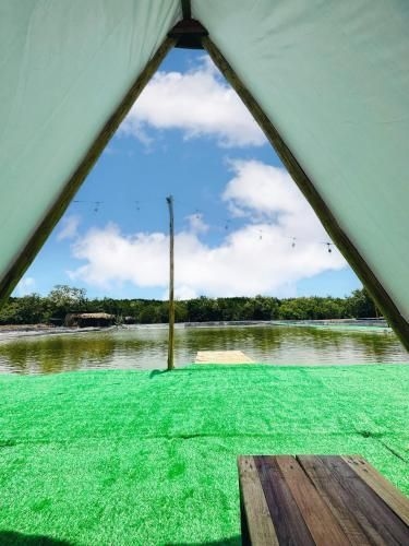 SAY Camp Forest4