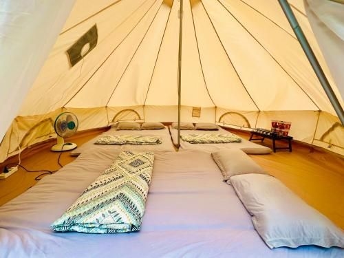 SAY Camp Forest2