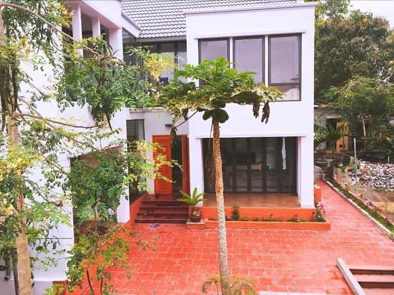 D Home Homestay Cat Ba D Home Homestay Cat Ba