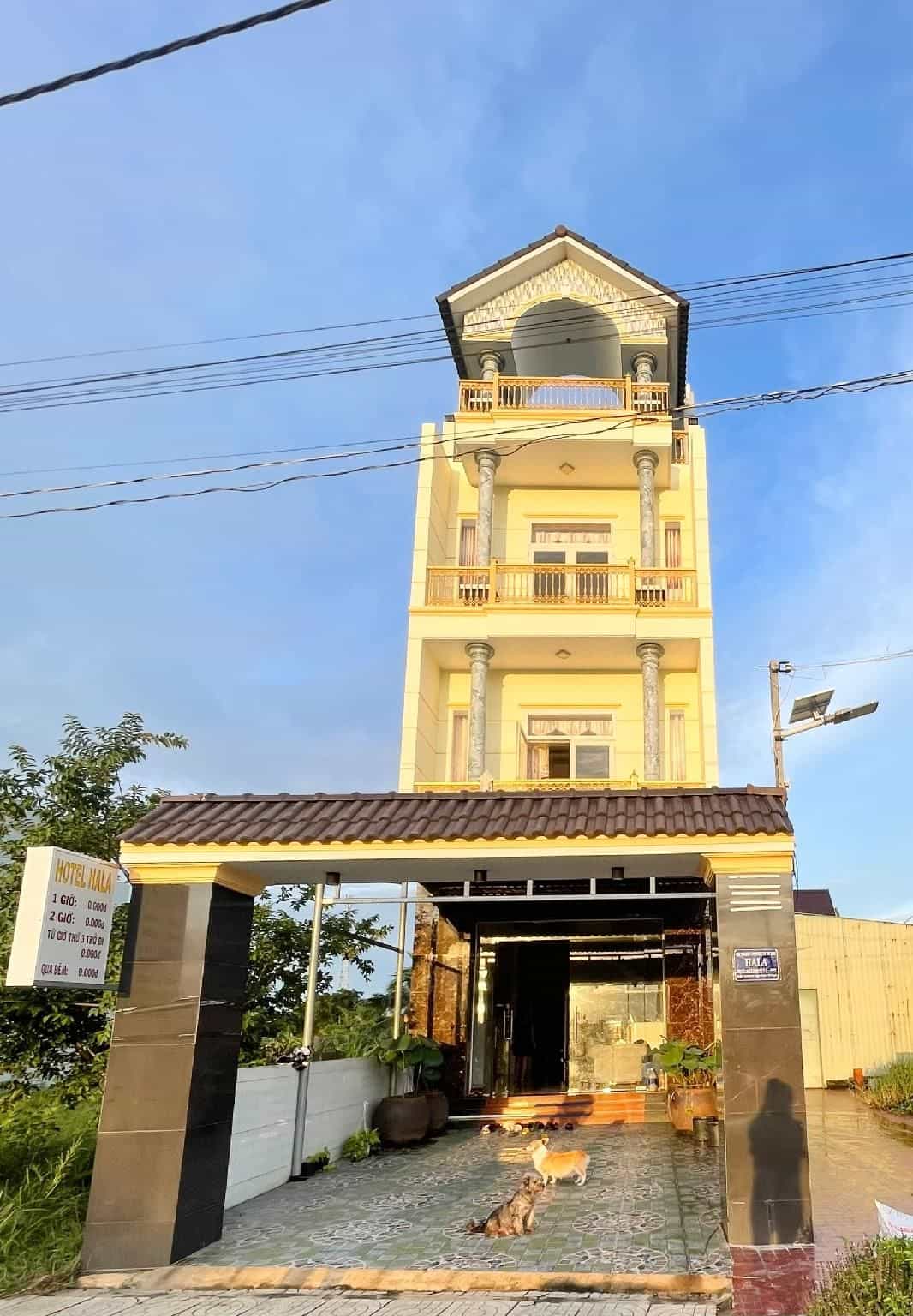 Hotel Hala