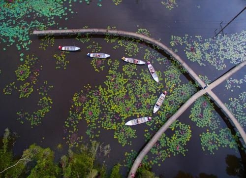 เคดีแอล หลาง นอย เติน หลับ เติน หลับ โฟลติง วิลเลจ (KDL Lang Noi Tan Lap Tan Lap Floating Village)1