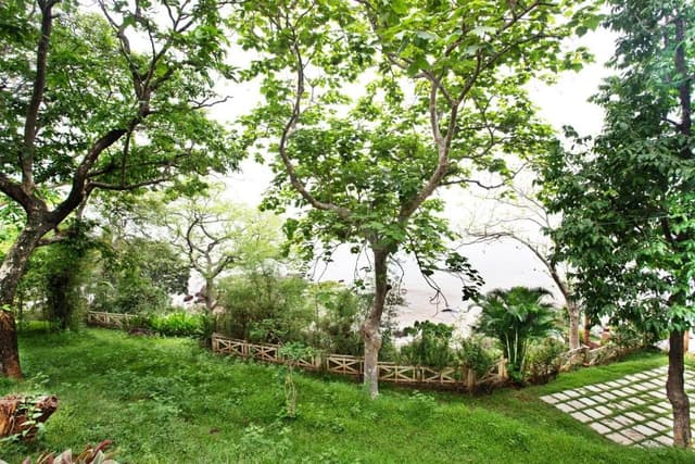 Premium Sea View Cottage