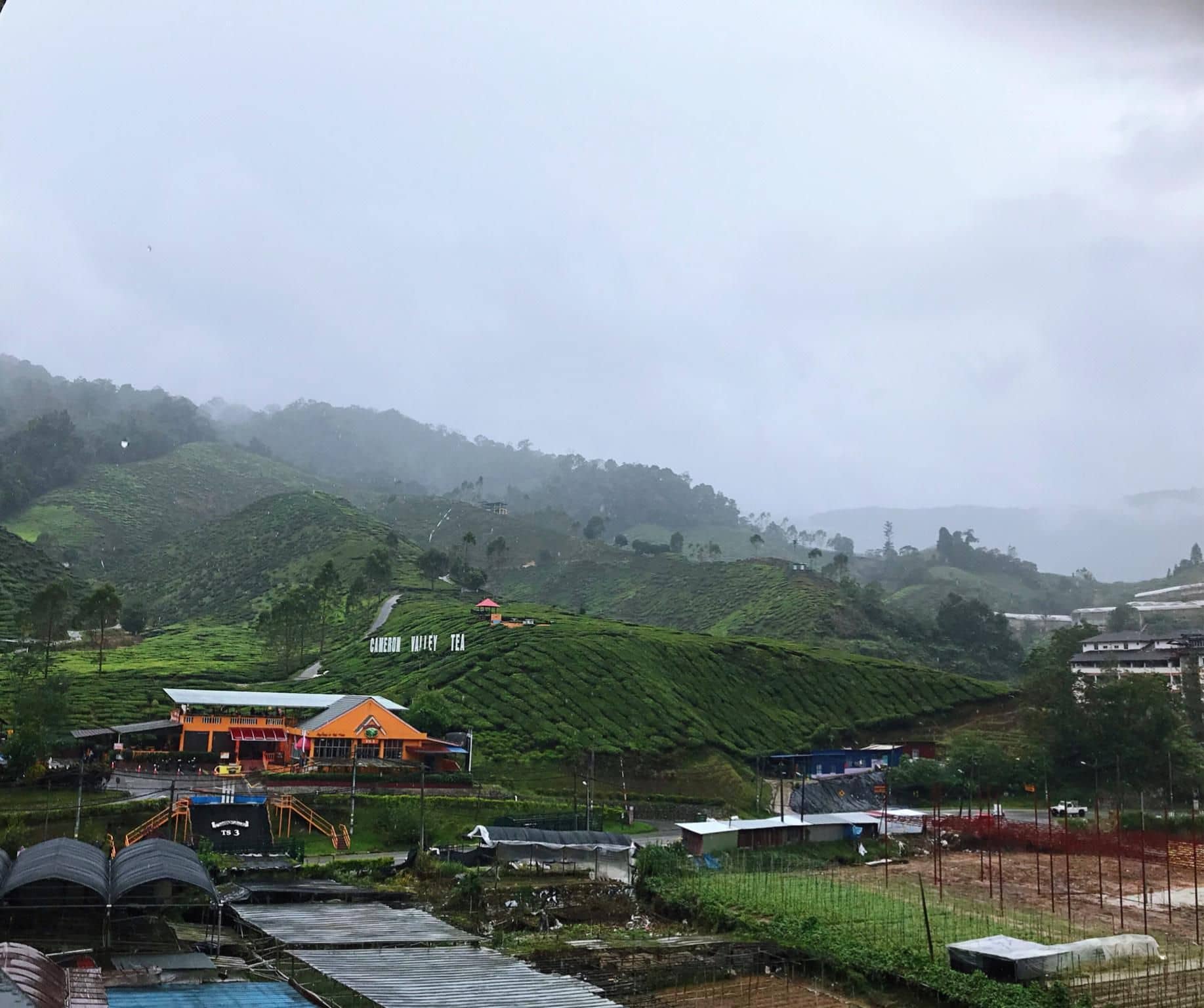 Orange Sunset View 1 min walk to Tea Plantation Orange Sunset View 1 min walk to Tea Plantation