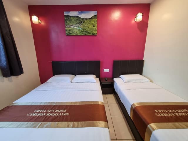 Deluxe Triple Room for 3 People