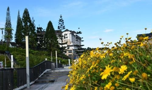 อาวียง คาเมรอน ไฮแลนด์ (Avillion Cameron Highlands)1