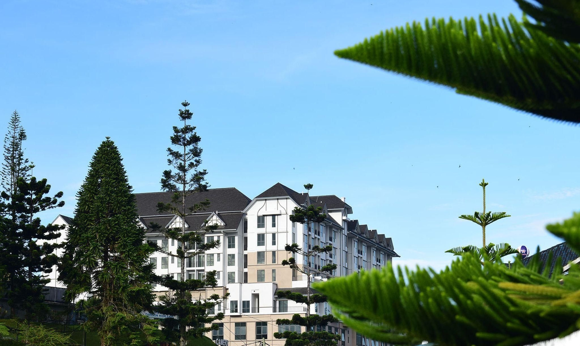 อาวียง คาเมรอน ไฮแลนด์ (Avillion Cameron Highlands)0