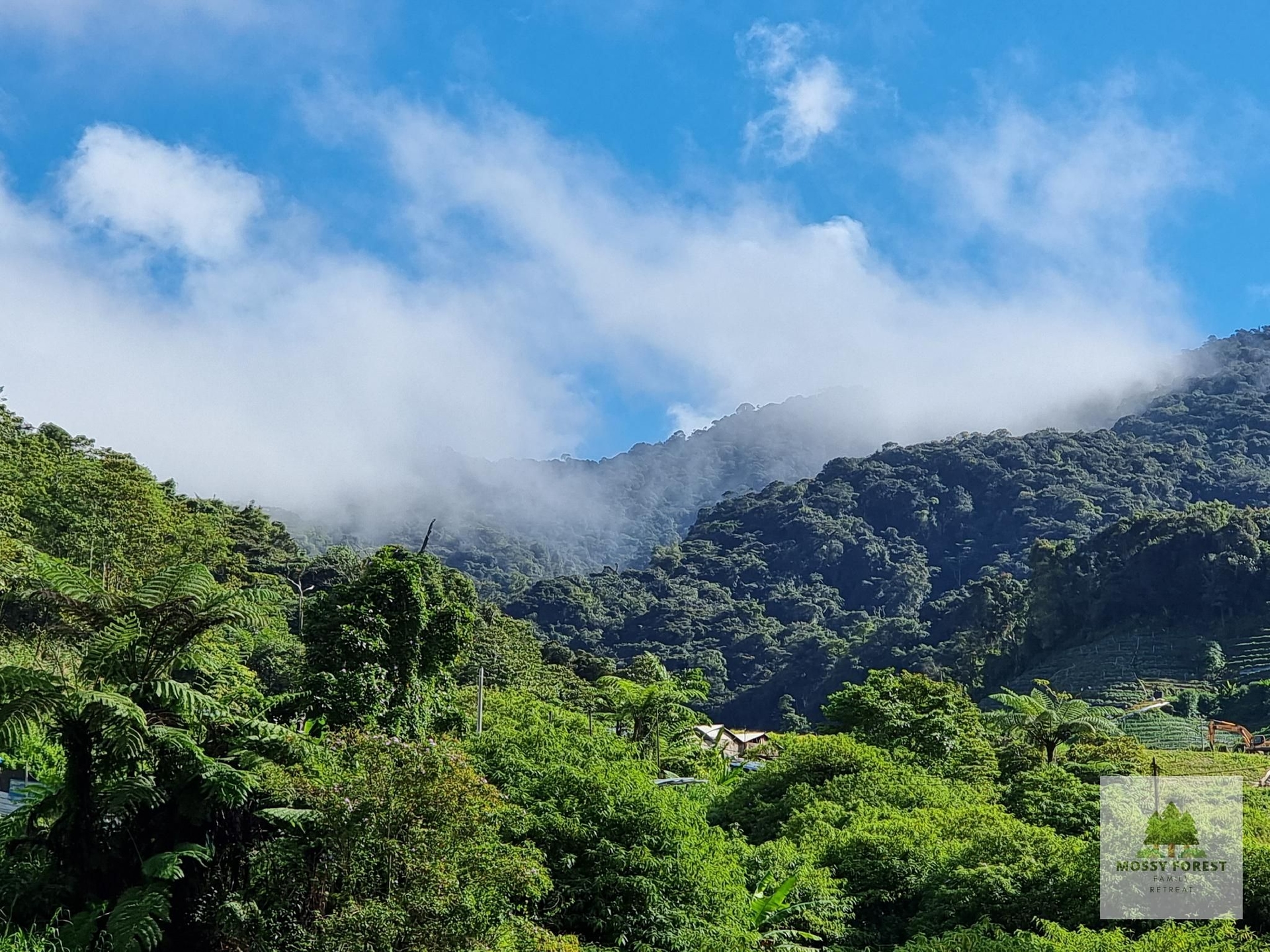 มอซซี่ ฟอเรสต์ แฟมิลี่ รีทรีต ทู เคียฟาร์ม บรินชาง (Mossy Forest Family Retreat 2, Kea Farm Brinchang)0